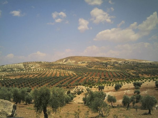 Климат Сирии