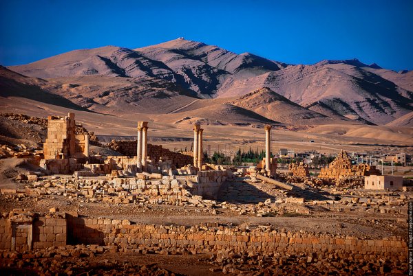 Панорама Пальмиры Сирия