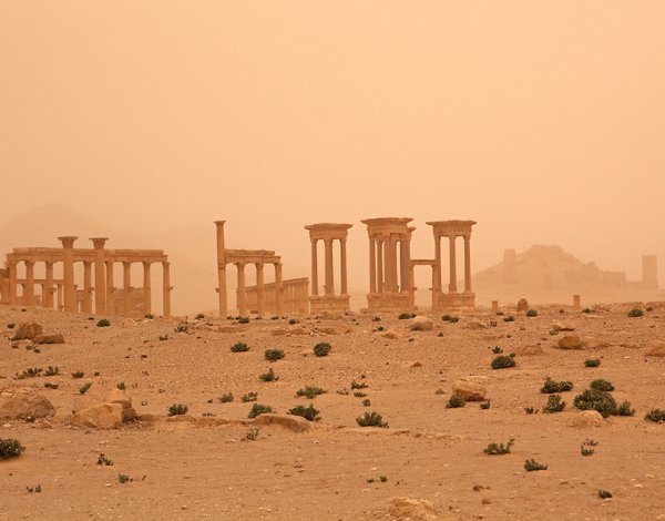 Сирия Пальмира пейзаж