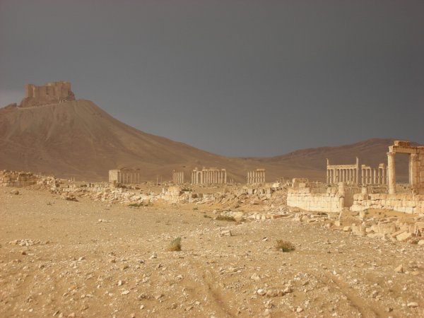 Сирия пустыня Пальмира