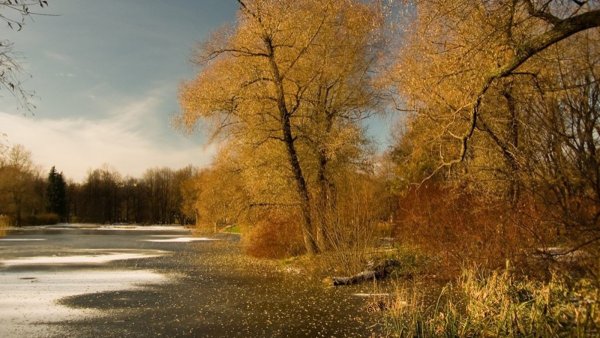 Поздняя осень