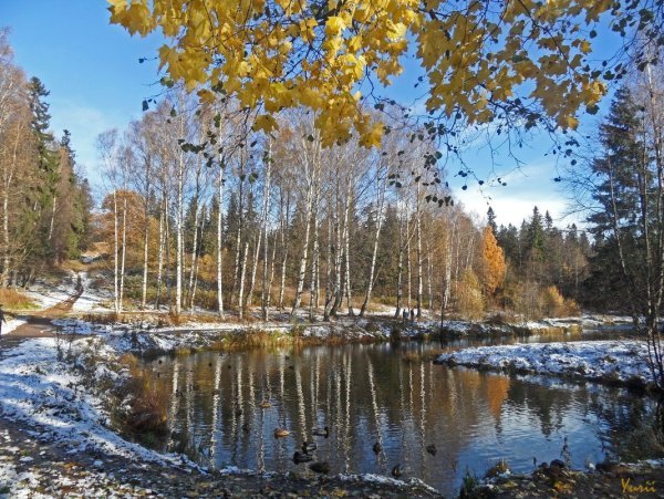 Поздняя осень