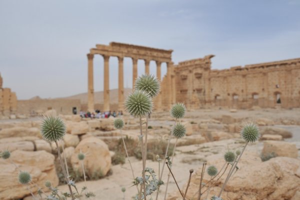 Климат Сирии