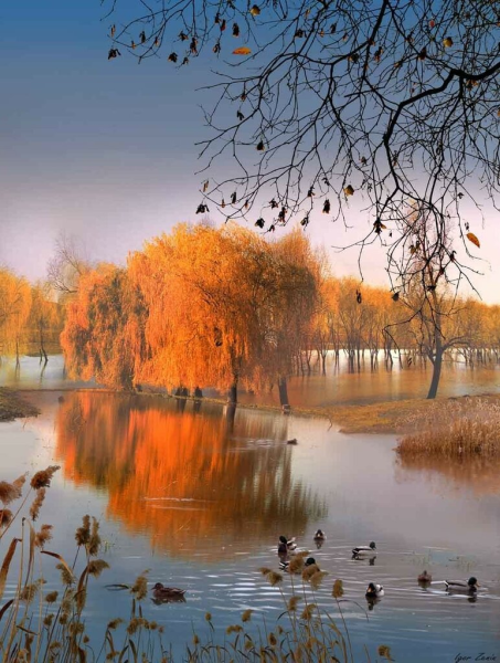 Игорь Зенин осень фотохудожник