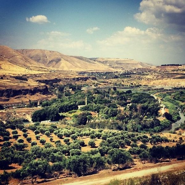 Флора в Сирии