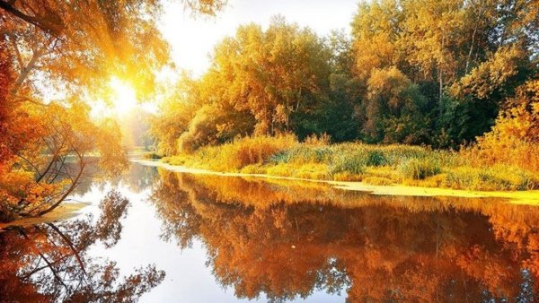 Осень живопись