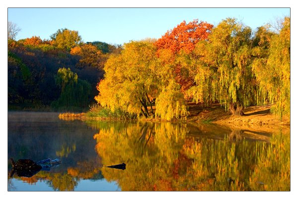 Осень листопад