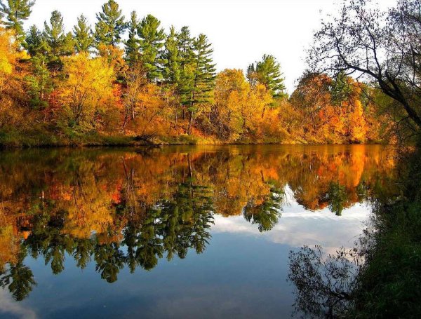 Золотая осень Автор: Гайфуллин Айрат