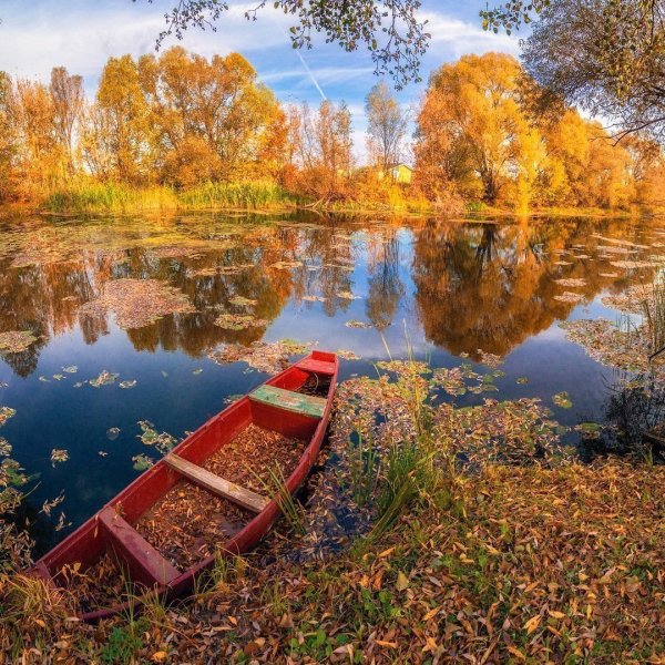 Василий Дмитриевич Золотая осень