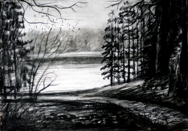 Графический пейзаж углем