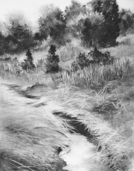 Зарисовки природы углем