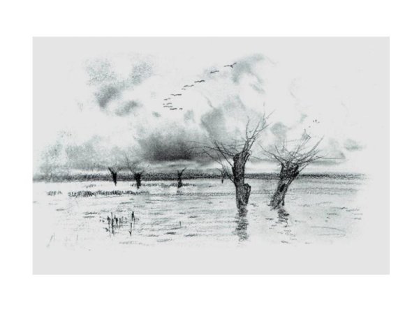 Пейзаж углем Шишкин