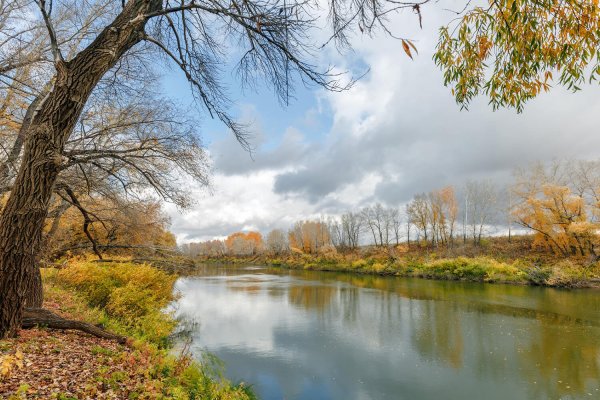 Петропавловск Казахстан река Ишим