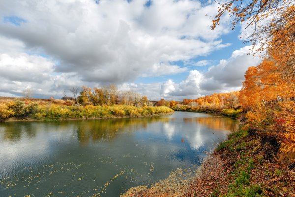 Река Ишим город Петропавловск