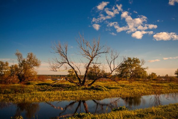 Природа Тюмени Ишим