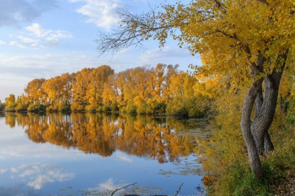 Петропавловск Казахстан река Ишим