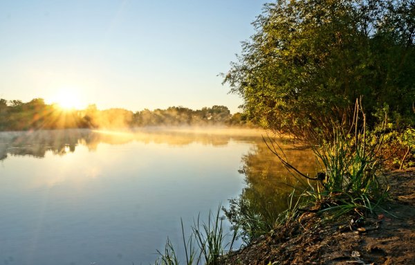 Река Ишим Северо Казахстанской области