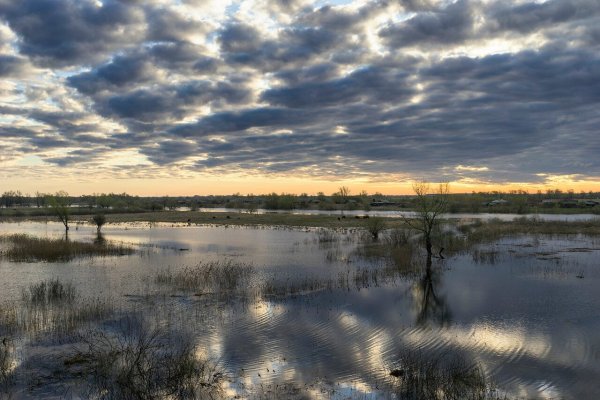 Река Ишим Тюменская область
