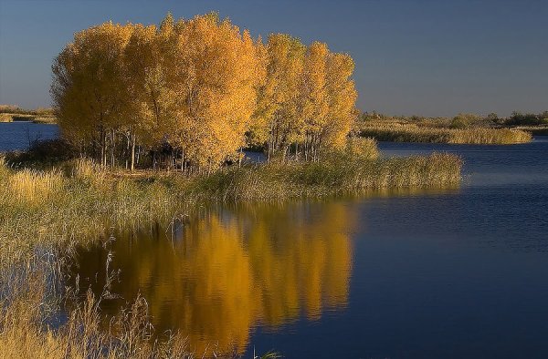 Река Ишим Северо Казахстанской области