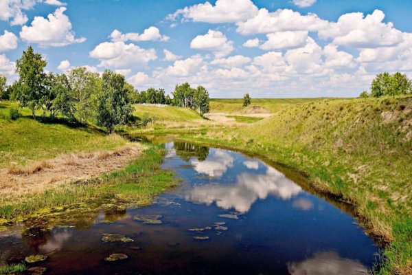 Река Омь Омская область