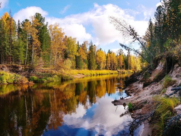 Осень лес река