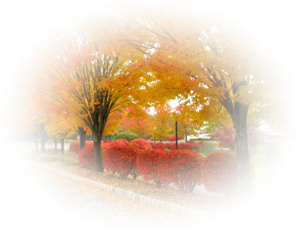 Осенний пейзаж на прозрачном фоне