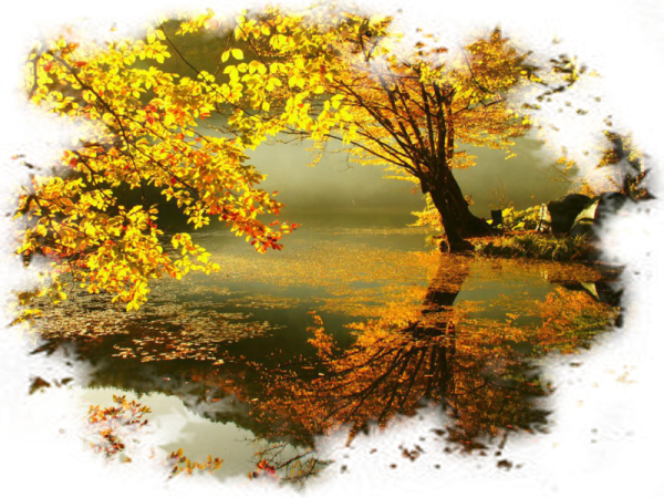 Осенний пейзаж прозрачный