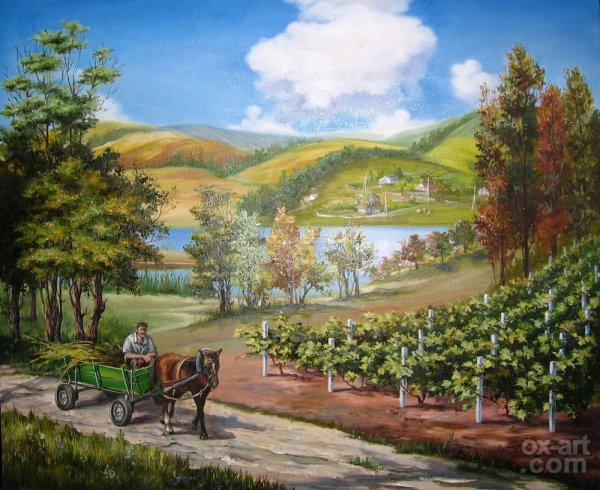 Молдавия виноградники картины