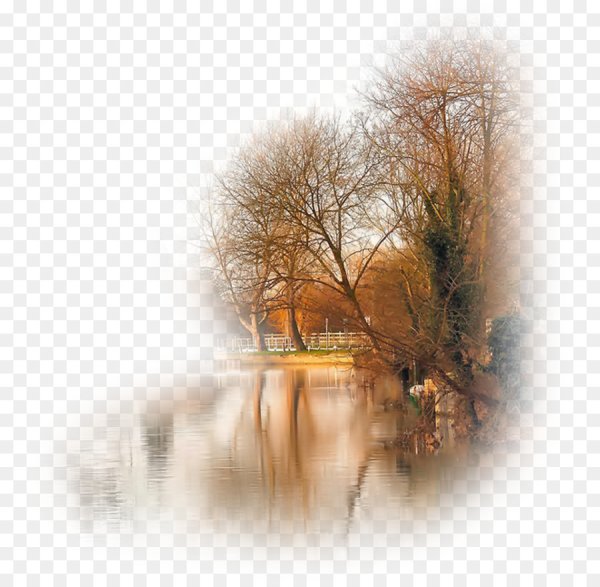 Пейзажи осени на прозрачном фоне