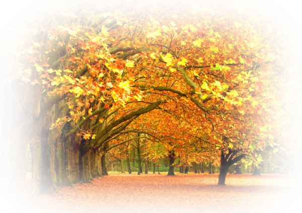 Осенний парк