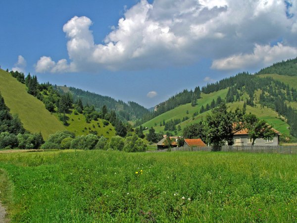 Молдавия природа Карпаты