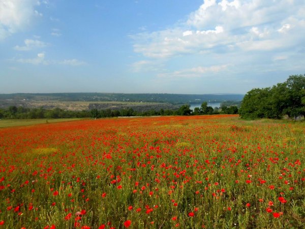 Природа Молдавии и Приднестровья