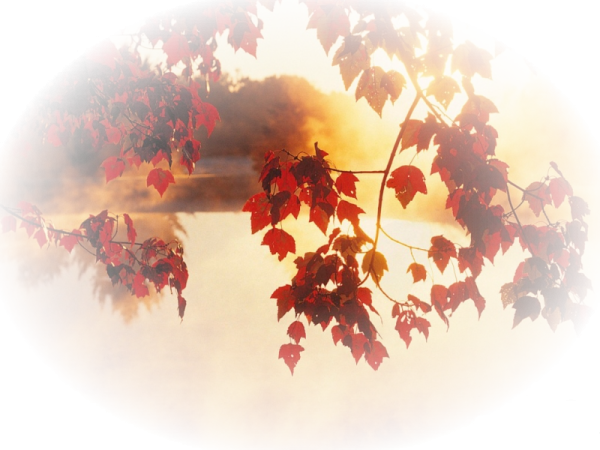 Осенний пейзаж на прозрачном фоне