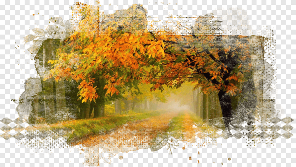 Осень на прозрачном фоне