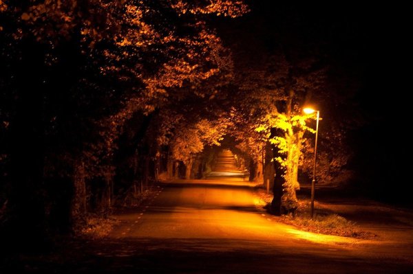 Ночная аллея