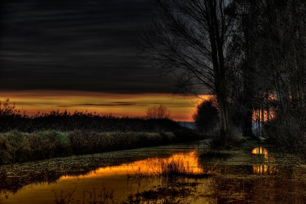 Ночной пейзаж