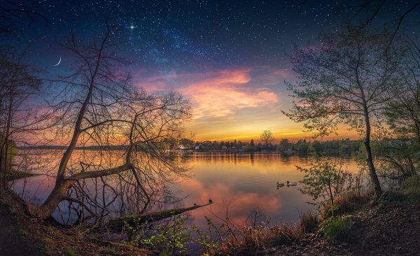 Ночная природа