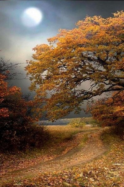 Спокойная осень