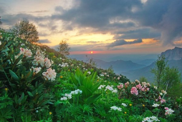 Художник Елин Игорь "черное море"