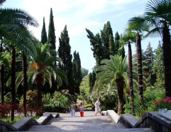 Природа большого Сочи