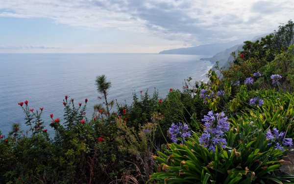 Картина масло Сочи Ротонда