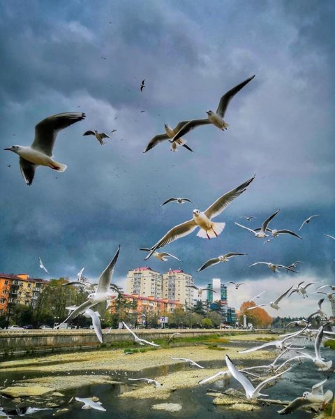 Рассвет красная Поляна Сочи