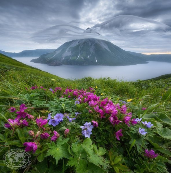 Вулкан Креницына, Курильские острова