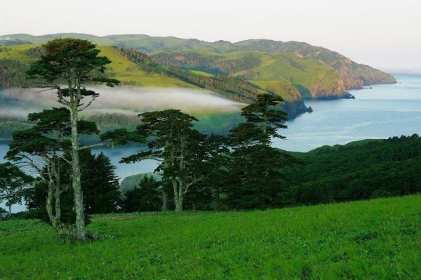 Дальний Восток Курильские острова