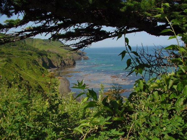 Природа южных Курильских островов