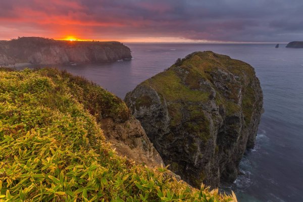 Сахалин Шикотан