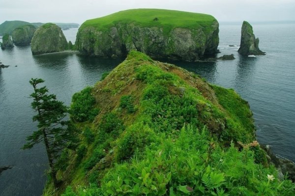 Бухта Безымянная Шикотан