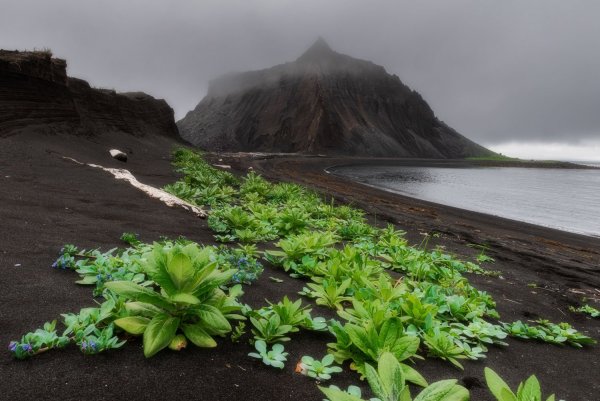 Курилы остров Атласова
