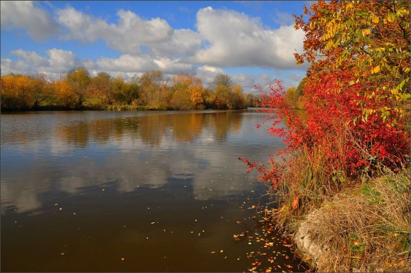 Берег реки осенью