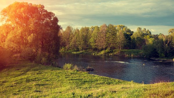 Русская природа